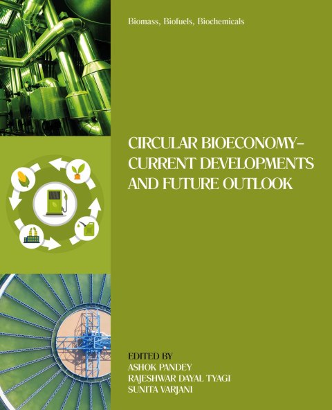 Cover image for book Biomass, Biofuels, Biochemicals