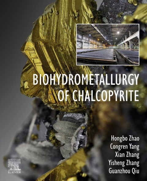 Biohydrometallurgy of Chalcopyrite 