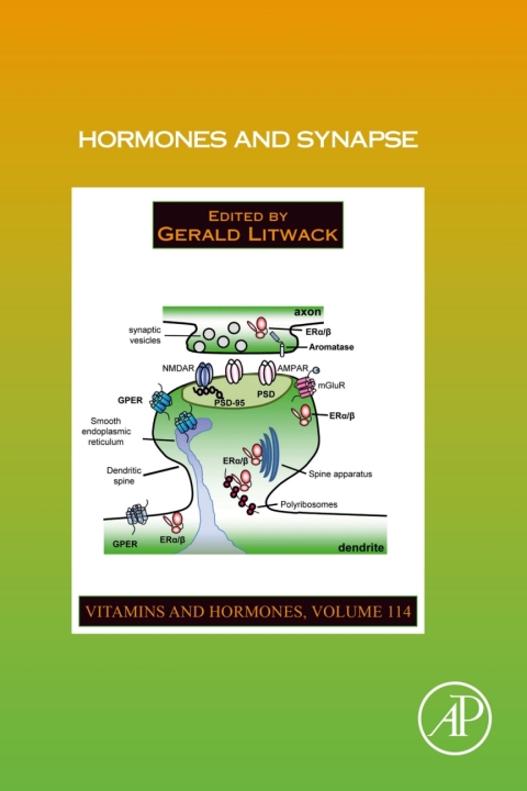 Cover image for book Hormones and Synapse
