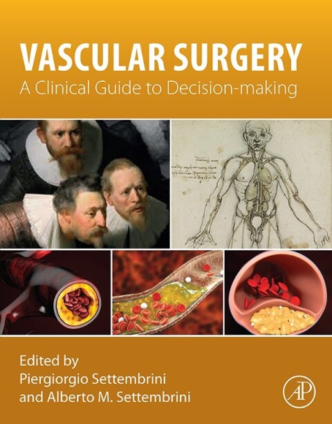 Cover image for book Vascular Surgery