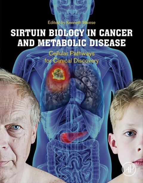 Cover image for book Sirtuin Biology in Cancer and Metabolic Disease