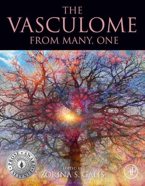 Cover image for book The Vasculome