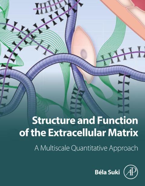 Cover image for book Structure and Function of the Extracellular Matrix
