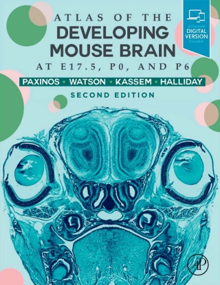 Atlas of the Developing Mouse Brain