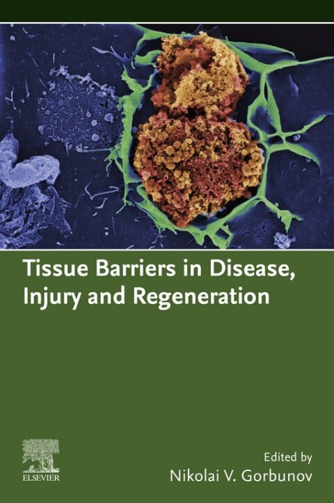 Cover image for book Tissue Barriers in Disease, Injury and Regeneration