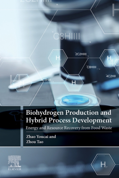 Biohydrogen Production and Hybrid Process Development 