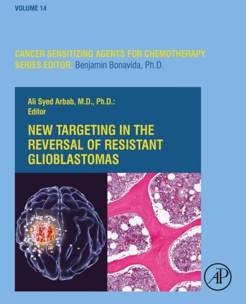 Cover image for book New Targeting in The Reversal of Resistant Glioblastomas