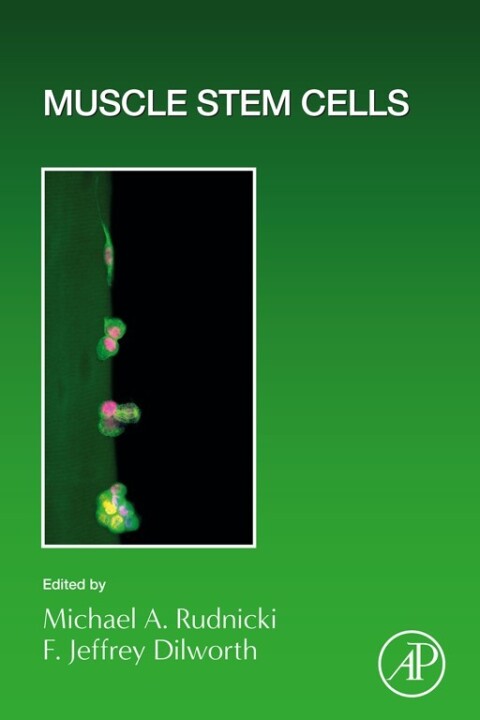 Cover image for book Muscle Stem Cells