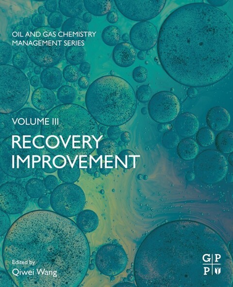 Cover image for book Recovery Improvement