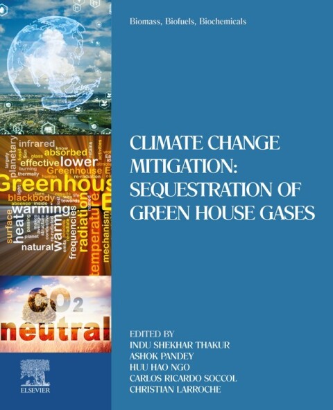Cover image for book Biomass, Biofuels, Biochemicals