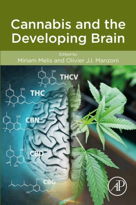 Cover image for book Cannabis and the Developing Brain