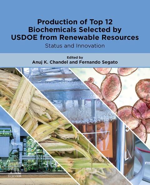 Cover image for book Production of Top 12 Biochemicals Selected by USDOE from Renewable Resources
