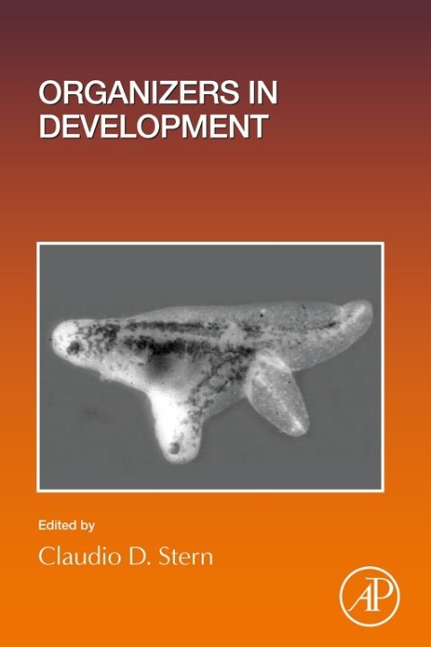Cover image for book Organizers in Development