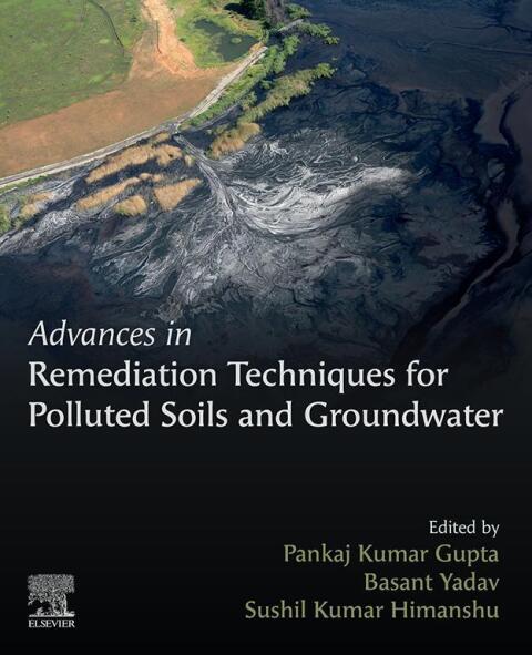 Cover image for book Advances in Remediation Techniques for Polluted Soils and Groundwater