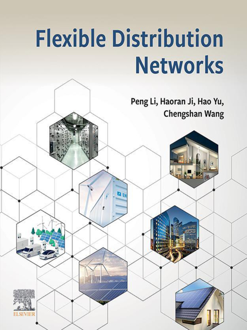 Flexible Distribution Networks 