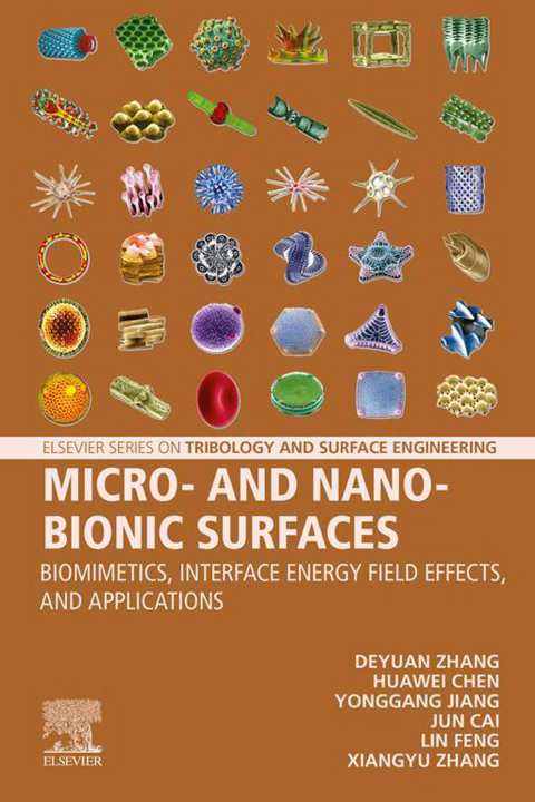 Micro- and Nano-Bionic Surfaces 