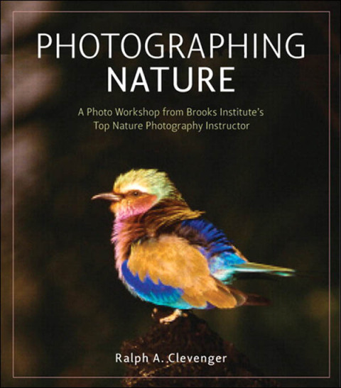 Cover image for book Photographing Nature