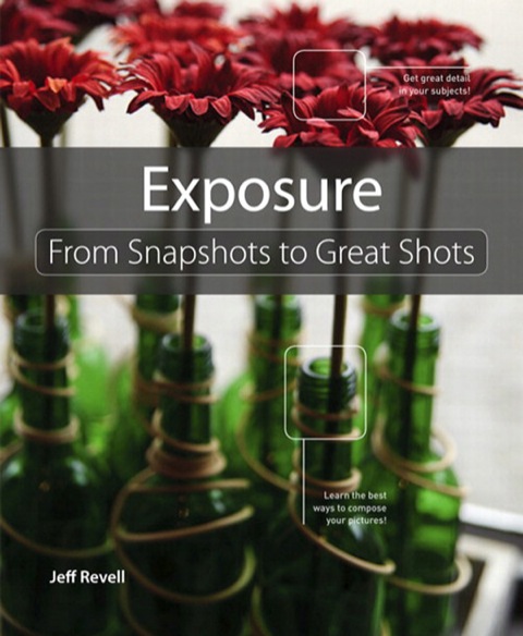 Cover image for book Exposure