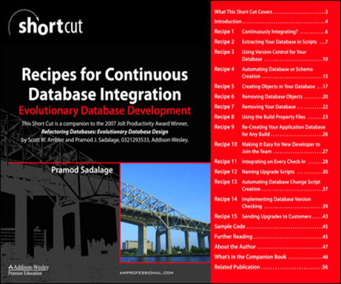 Cover image for book Recipes for Continuous Database Integration