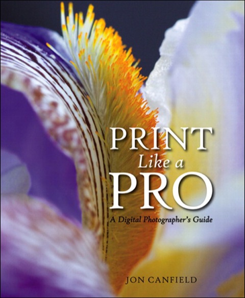 Cover image for book Print Like a Pro