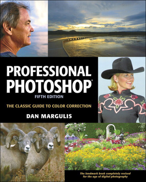 Cover image for book Professional Photoshop
