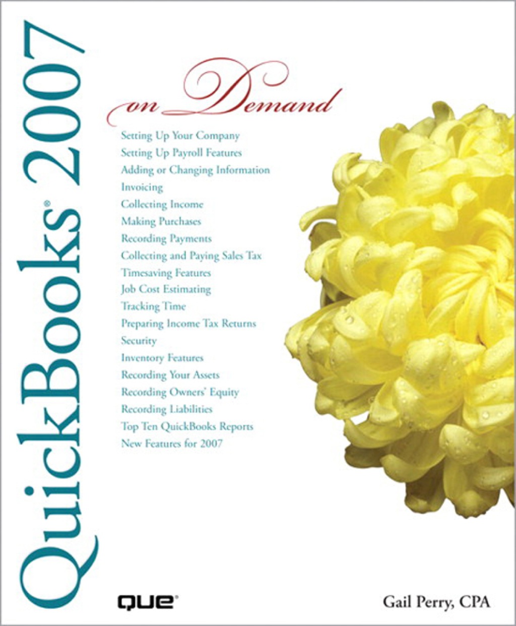 QuickBooks 2007 On Demand (eBook) - Gail Perry CPA