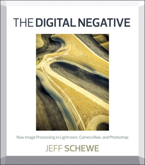 Cover image for book The Digital Negative