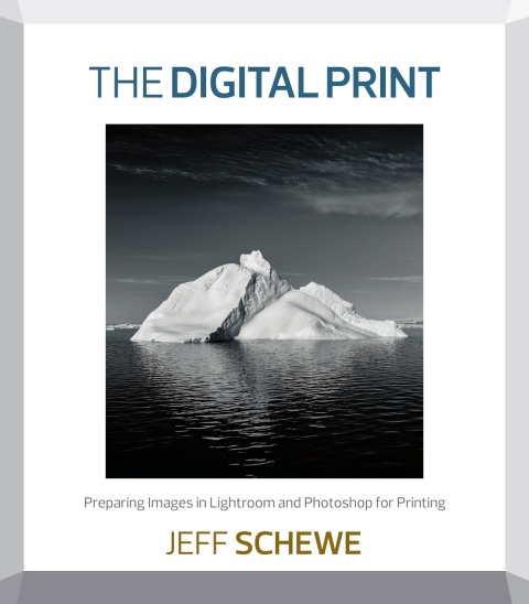 Cover image for book The Digital Print
