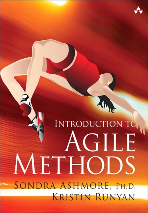 Cover image for book Introduction to Agile Methods