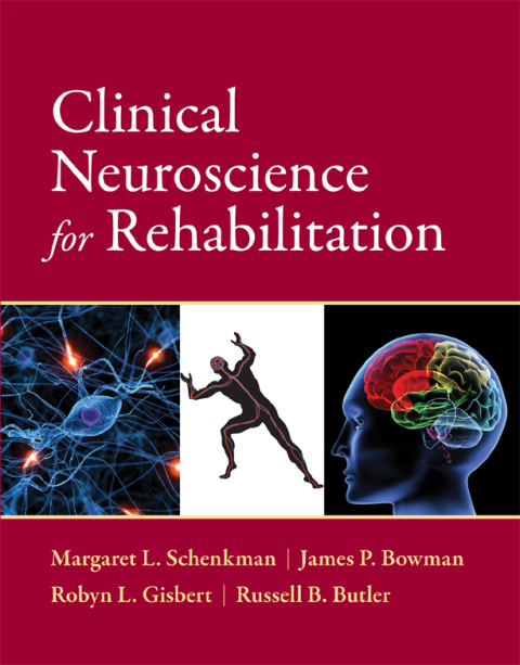 Cover image for book Clinical Neuroscience for Rehabilitation
