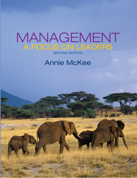 Cover image for book Management: A Focus on Leaders