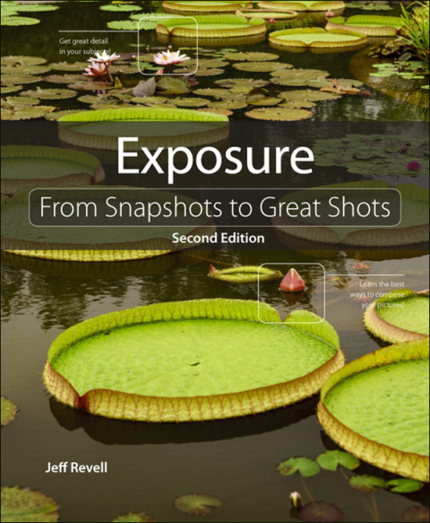 Cover image for book Exposure
