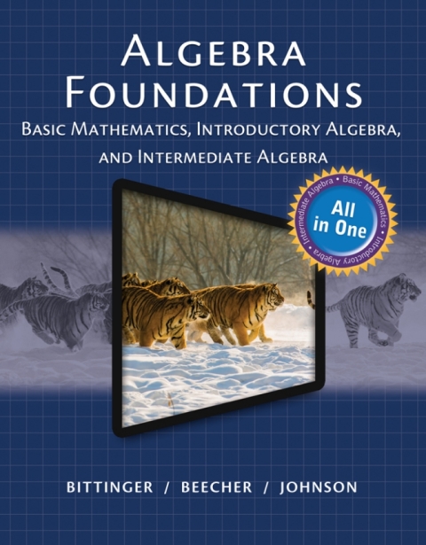 Cover image for book Algebra Foundations