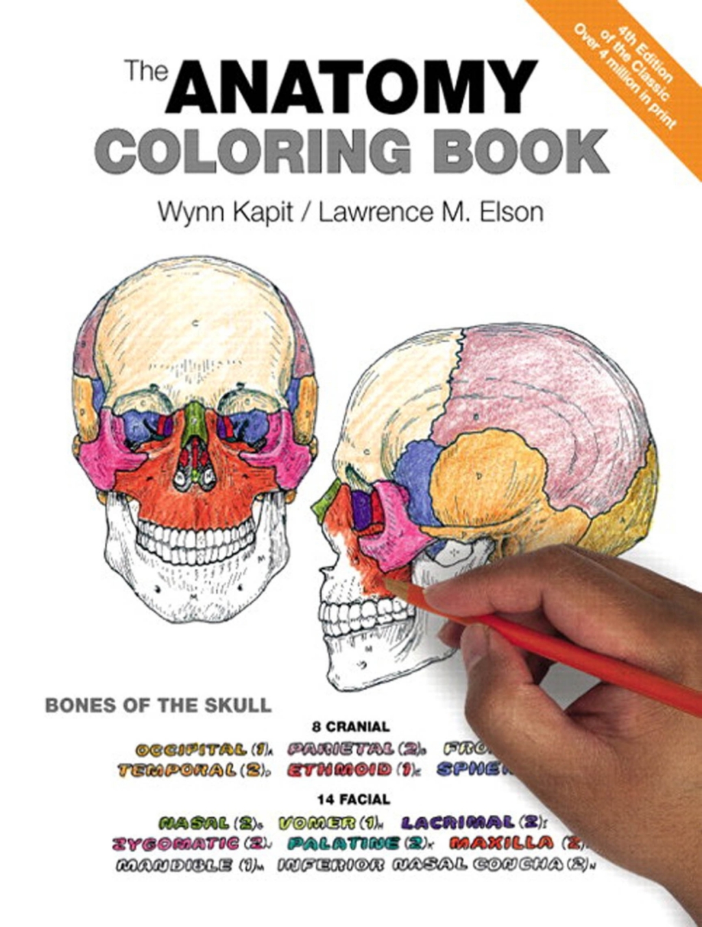 Page Fidelity The Anatomy Coloring Book; $94.99