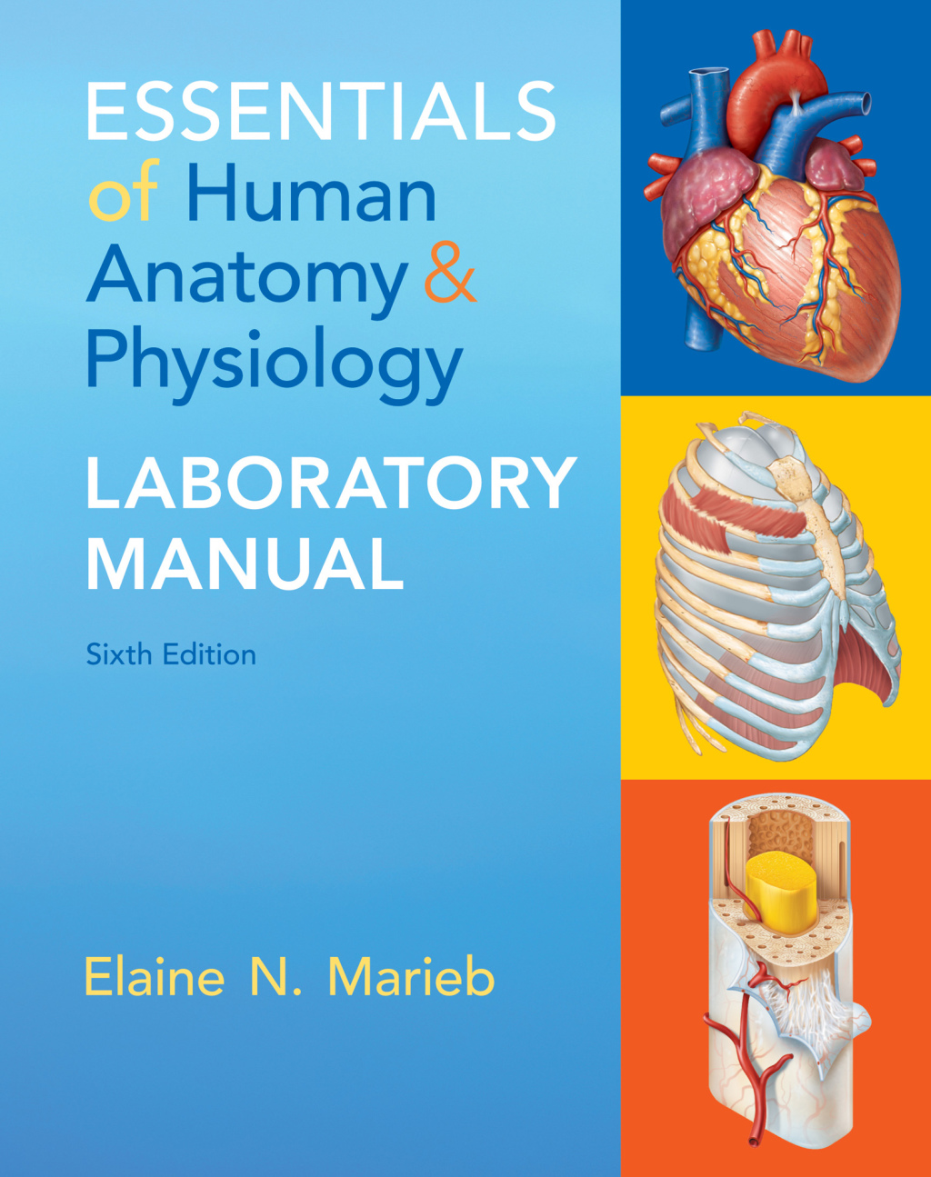 Essentials of Human Anatomy & Physiology Laboratory Manual (eBook Rental)