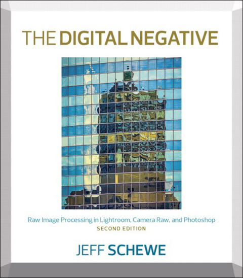 Cover image for book The Digital Negative