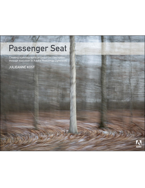 Cover image for book Passenger Seat