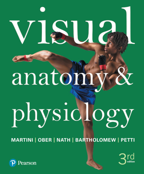 Cover image for book Visual Anatomy & Physiology