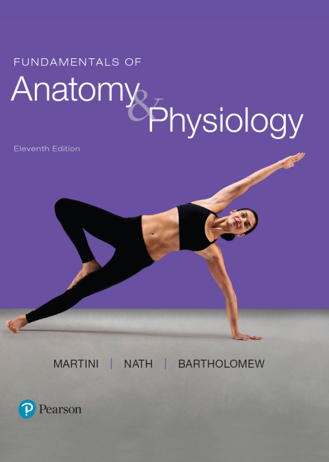 Fund.Of Anatomy+Physiology Text