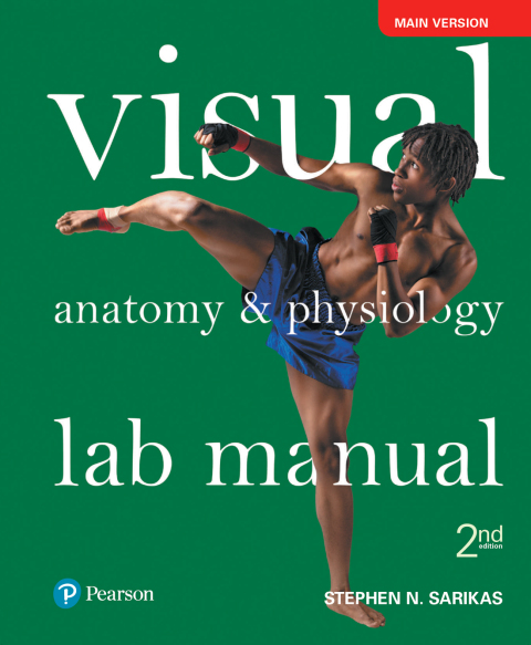Cover image for book Visual Anatomy & Physiology Lab Manual, Main Version