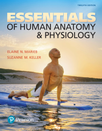 
        Essentials of Human Anatomy & Physiology 12th edition | 9780134395326, 9780134652665 | VitalSource

  