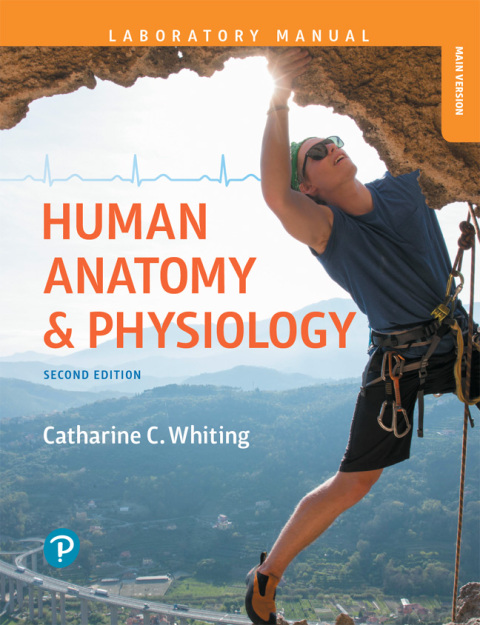 Cover image for book Human Anatomy & Physiology Laboratory Manual