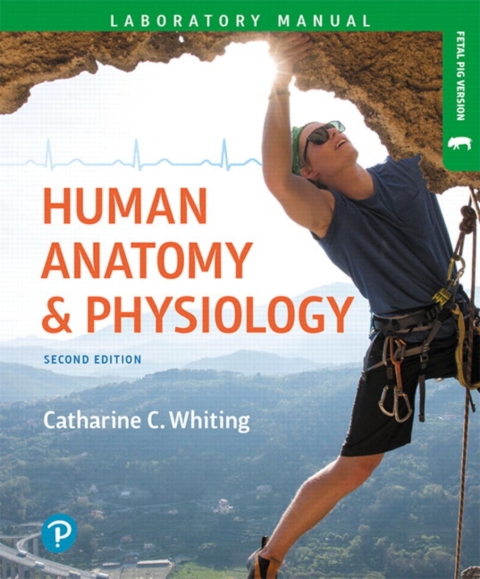 Cover image for book Mastering A&P with Pearson eText Access Code (24 Months) for Human Anatomy & Physiology Laboratory Manual: Making Connections