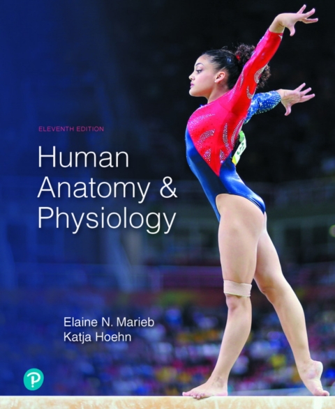 Human Anat.+Physiology Modified Access