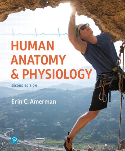 Cover image for book Mastering A&P with Pearson eText Access Code (24 Months) for Human Anatomy & Physiology