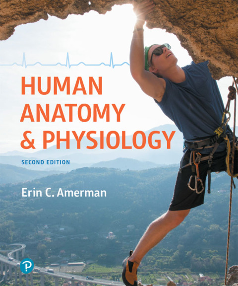 Cover image for book Human Anatomy & Physiology