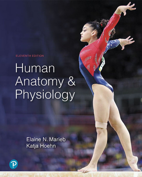 Human Anat.+Physiology