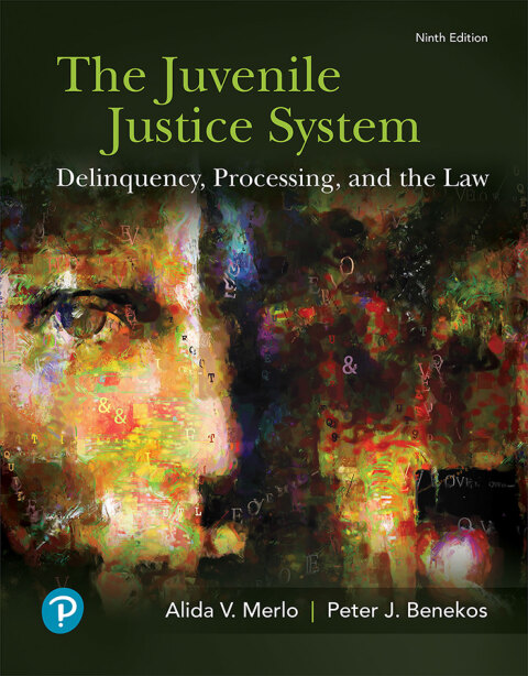 Cover image for book The Juvenile Justice System: Delinquency, Processing, and the Law