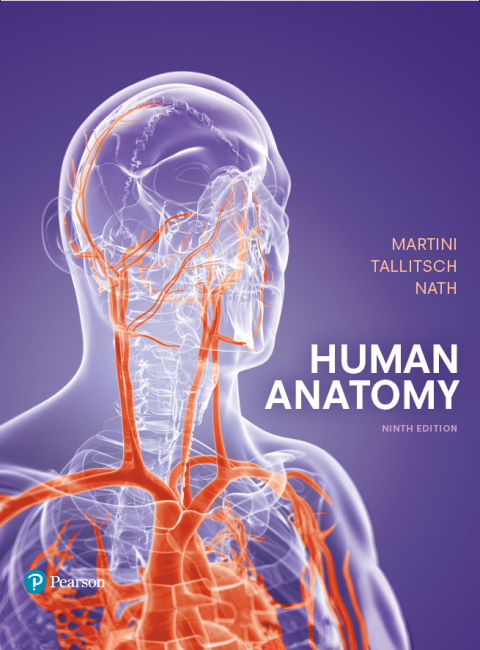 Human Anatomy (Ebook)