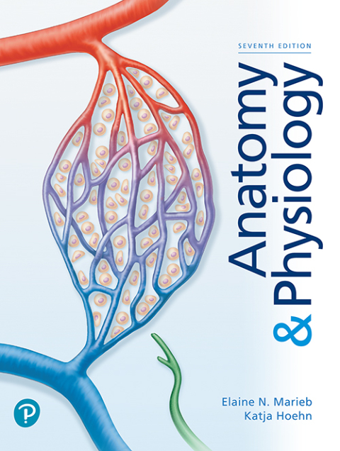 Cover image for book Anatomy & Physiology